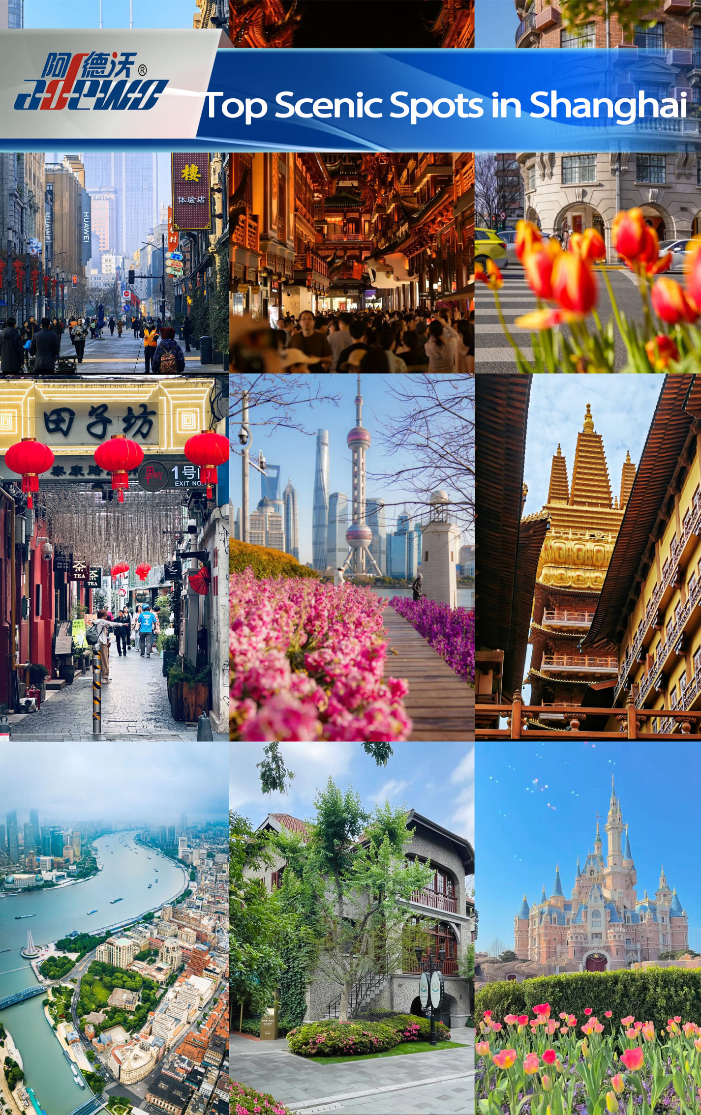 Top Scenic Spots ing Shanghai